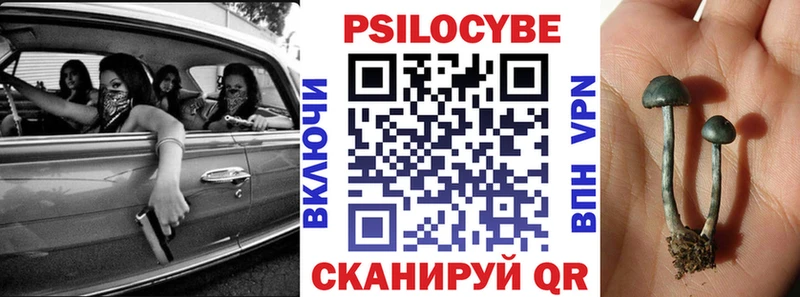Псилоцибиновые грибы ЛСД  ссылка на мегу маркетплейс  Рыбинск  купить наркоту 